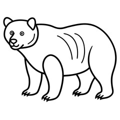White Line Art Spectacled Bear Vector