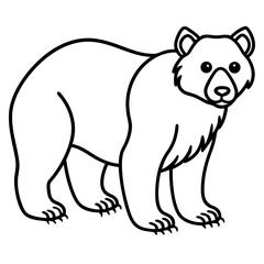 White Line Art Spectacled Bear Vector