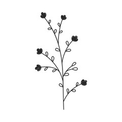 Hand drawn floral design. Thin botanical stem with little flowers. Simple botanical design element in linear doodle style. Vector 10 EPS.