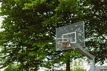 An outdoor park setting featuring a basketball hoop, elegantly surrounded by a plethora of lush...