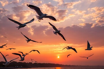 Fototapeta premium Group of silhouette seagulls flying over the sea on twilight sky at sunset
