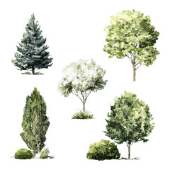 Watercolor Trees And Shrubs Collection. Garden Design And Environmental Planning Set. Isolated Vector Illustration
