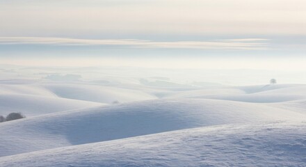 Obraz premium Gentle Rolling Snow Covered Hills Under a Soft Blue and White Sky in a Serene Winter Landscape