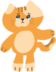 Obraz premium Cute Cat