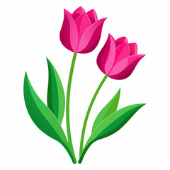 Obraz premium deep pink tulips vector illustration 