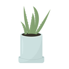 Aloe vera plant in pot. Indoor potted plants. Houseplants for interior home decoration, green plant in flower pot. Vector illustration, flat style.