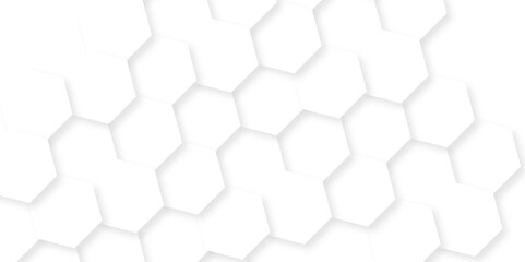 Minimal white hexagonal hexagon modern technology creative emboss light honeycomb polygonal web. abstract geometric science and mosaic tile with template texture background.	