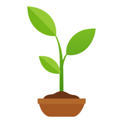 Seedling: New Plant Growth

