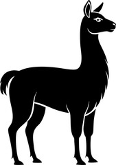 vector illustration of a llama 