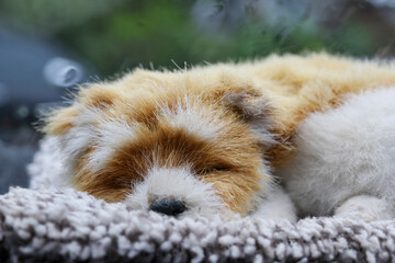 A cute puppy doll with fur on the front of the car is sleeping, giving off a lonely feeling.