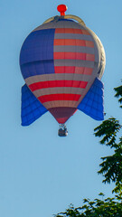 hot air balloon in flight