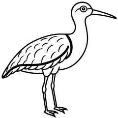 Elegant Whimbrel Outline Vector Design