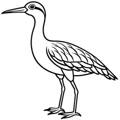 Elegant Whimbrel Outline Vector Design