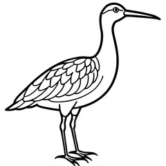 Elegant Whimbrel Outline Vector Design