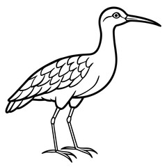 Elegant Whimbrel Outline Vector Design