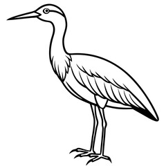 Elegant Whimbrel Outline Vector Design