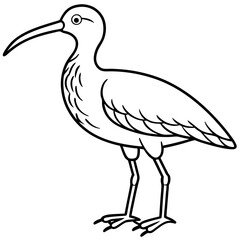Elegant Whimbrel Outline Vector Design