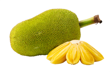 Jackfruit isolated on transparent background