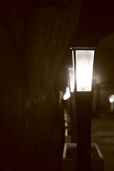 a group of street lamps arranged one after another and lit at night by a tree branch, black and...