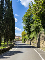 old town winding road lined with cypress trees and a stone wall under a blue sky with. Tuscan old cities