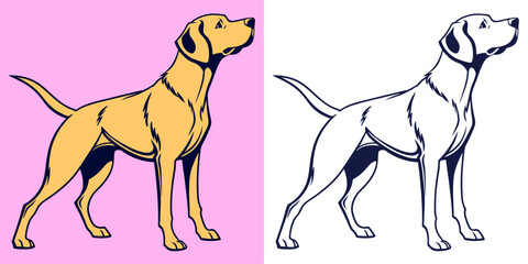 Stylized Tan Dog Vector Illustration on Pink Background