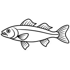Elegant Zander Fish Line Sketch Vector