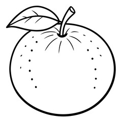 A simple Mandarin Orange line art vector