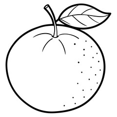 A simple Mandarin Orange line art vector