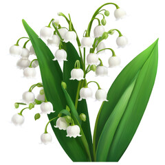 Fototapeta premium Lily of the Valley