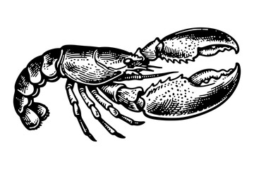Lobster vector engraving style illustration