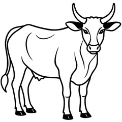 Elegant Zebu Outline Design