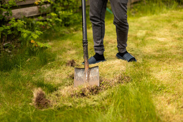 Man planting a young apple tree in the garden. Concept of growth, ecology, and rural living. 