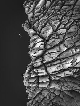 Frontal section and crevasses of a glacier from an aerial view