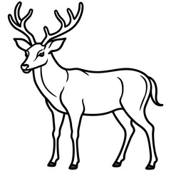 Forest Creatures Line Art Wapiti & Vole