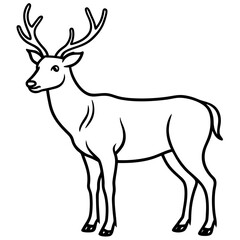Forest Creatures Line Art Wapiti & Vole