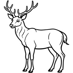 Forest Creatures Line Art Wapiti & Vole