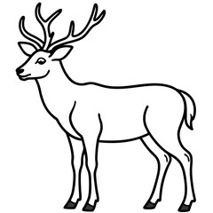 Forest Creatures Line Art Wapiti & Vole