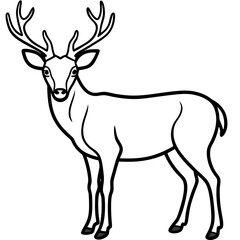 Forest Creatures Line Art Wapiti & Vole