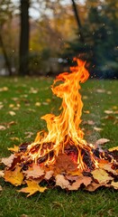 campfire in the forest, Pile burning autumn leaves backyard. Smoke curls upwards into sky. Flames and fire with orange, red, yellow colors. Fall season in nature, seasonal scenery, outdoor, green gras