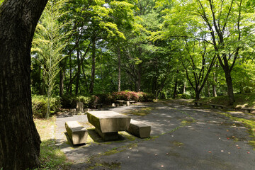 公園のベンチ