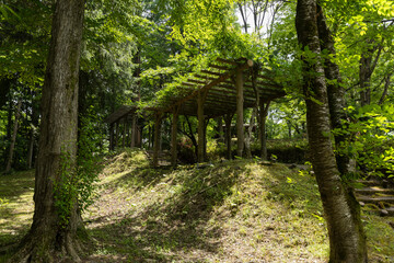 初夏の公園
