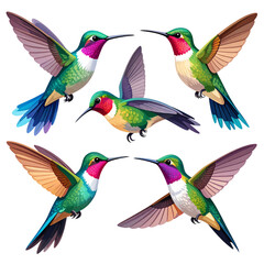 Fototapeta premium Flat Vector Set of Flying Hummingbirds in Dynamic Poses, Isolated on Transparent or White Background png