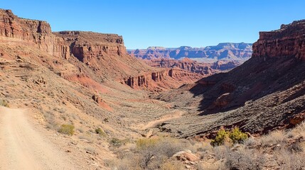 Fototapeta premium A panoramic view of a desert canyon, showcasing rugged cliffs, a sandy trail, and sparse desert vegetation under a clear blue sky