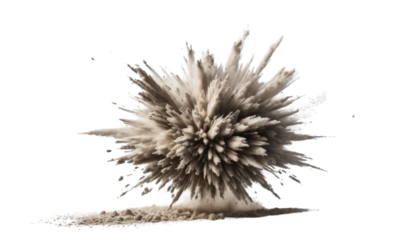 Abstract black ink splats resemble natural seed pods against a white background