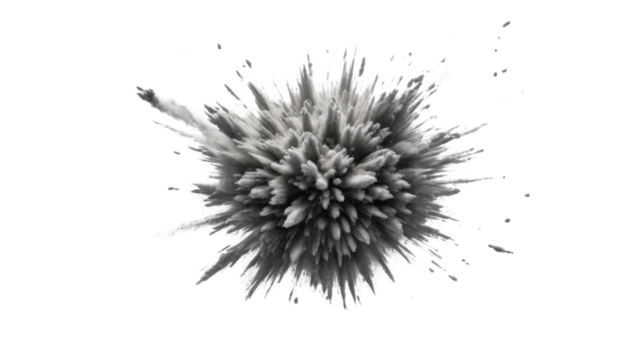 Abstract black ink splats resemble natural seed pods against a white background