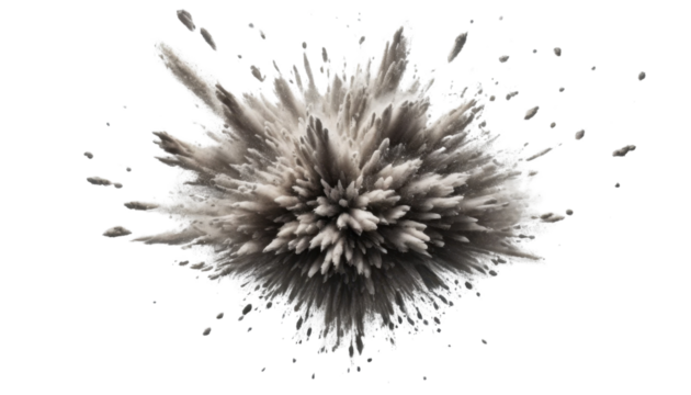 Abstract black ink splats resemble natural seed pods against a white background