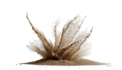 Dead sea urchin silhouette on white sand, a prickly abstract of nature