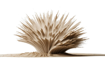 Dead sea urchin silhouette on white sand, a prickly abstract of nature