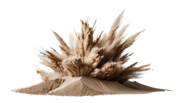 Sea urchin isolated on white background with a natural plant and green grass