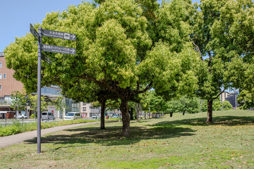 大分市街地の大分駅前広場